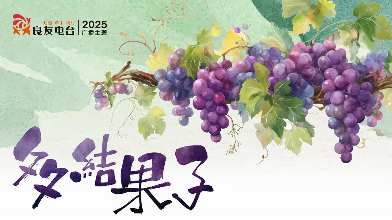 2025年广播主题：多结果子